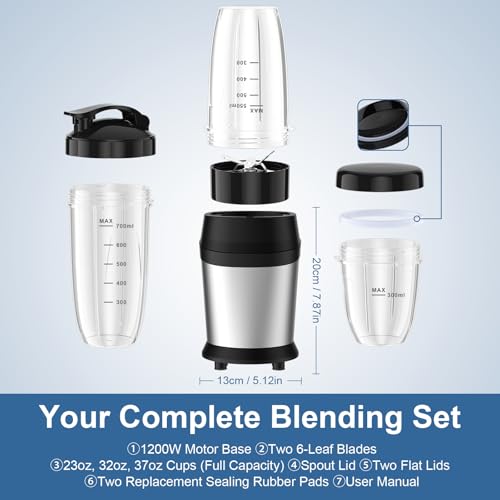 Best Personal Blender For Ice Crushing