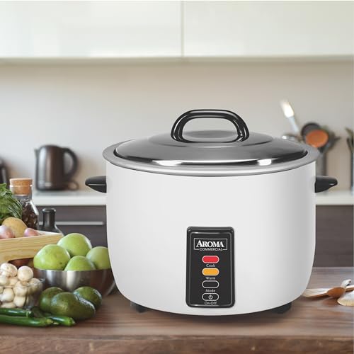 Best Rice Cooker For 120