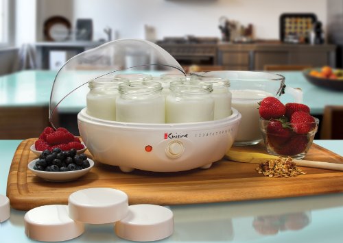 Best Yogurt Maker For SCD Diet