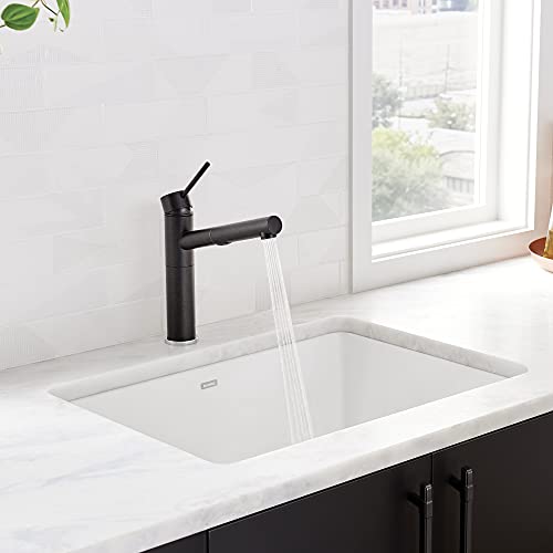 Best Kitchen Sink For Cleanability