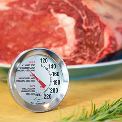 Best Meat Thermometer For Thanksgiving Turkey