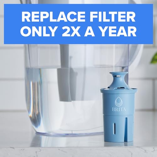 Best Water Filter For Brita