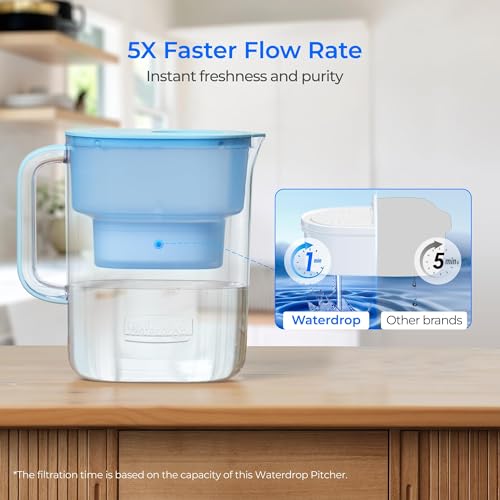 Best Water Filter For Tap Water