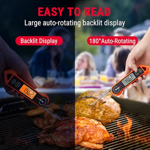 Best Meat Thermometer For Smoking