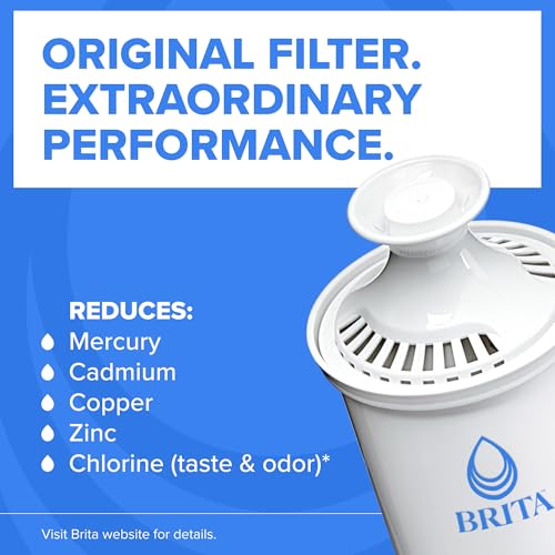 Best Water Filter For Large Family