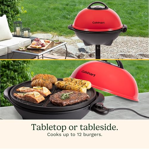 Best Electric Grill For Apartment Balcony No Smoke