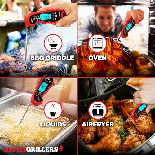 Best Meat Thermometer For Rotisserie