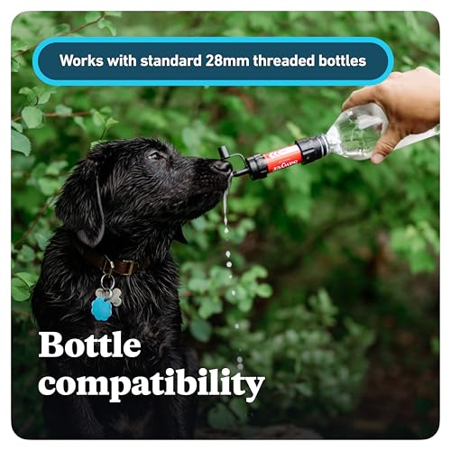 Best Water Filter For Backpacking