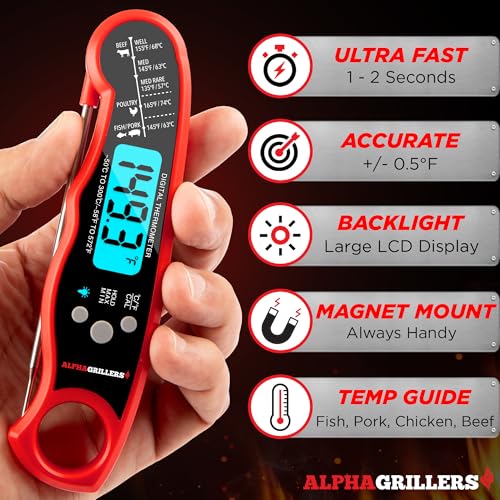 Best Meat Thermometer For The Money