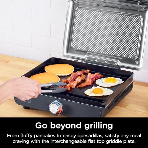 Best Electric Grill For Fish