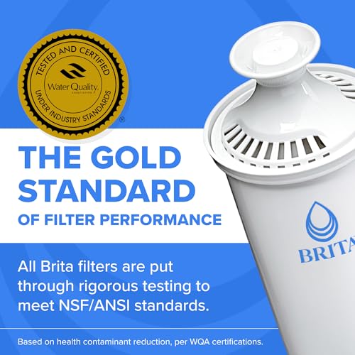 Best Water Filter For Drinking
