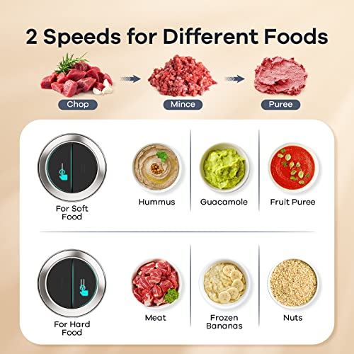 Best Food Processor For Chicken