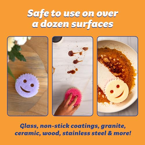 Best Scrubber For Dishes