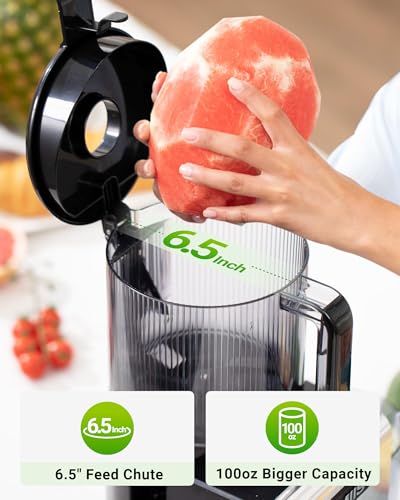 Best Juicer Machine For Beginners