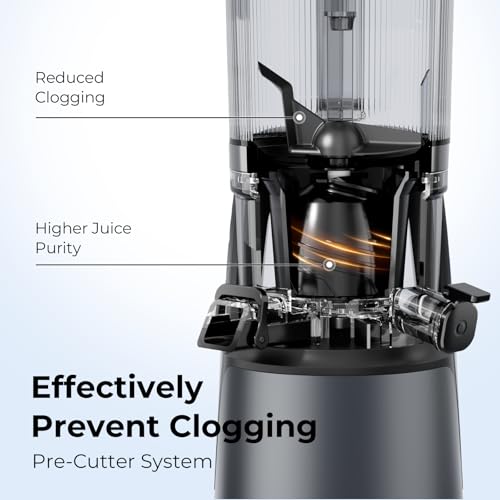 Best Juicer Machine For Business