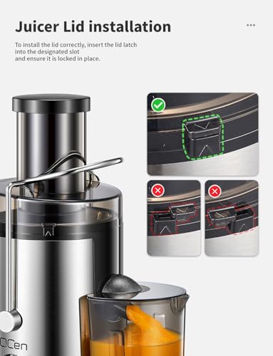 Best Juicer Machine For Apples