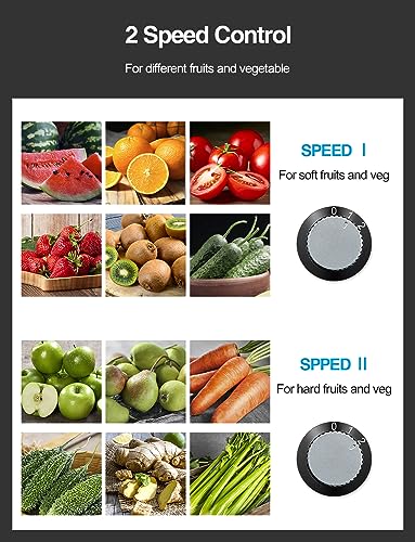 Best Juicer Machine For All Fruits And Vegetables