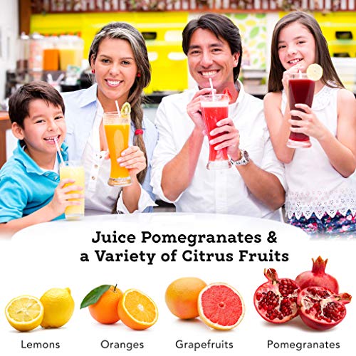 Best Juicer Machine For Pomegranate