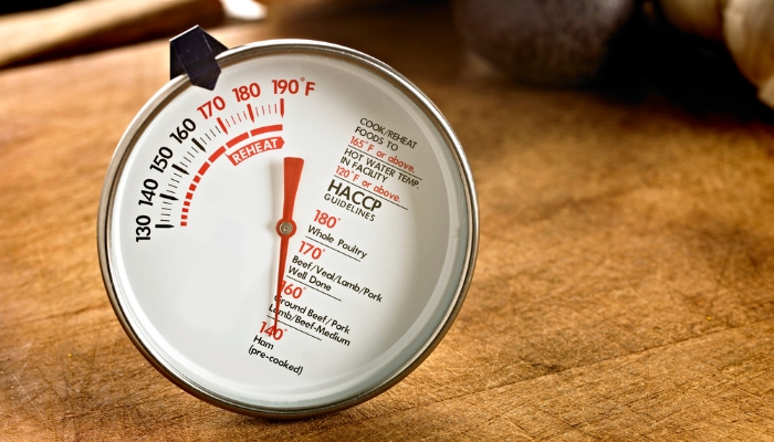 How To Read A Meat Thermometer Correctly