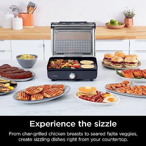 Best Indoor Grill For Salmon