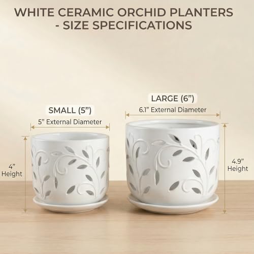 Best Pots For Orchids