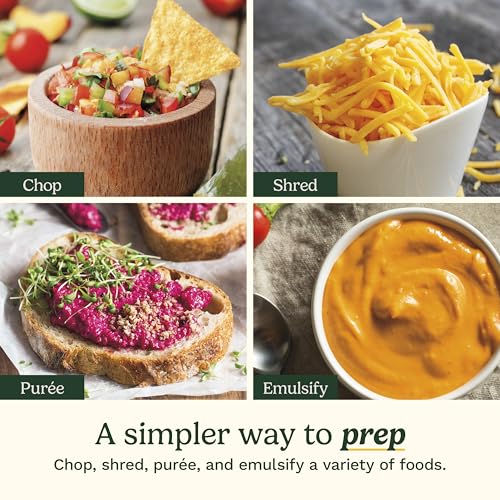 Top 5 Food Processors